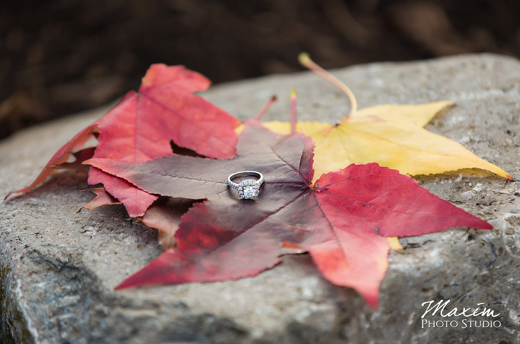 Cox Arboretum Dayton Ohio Fall Engagement ring
