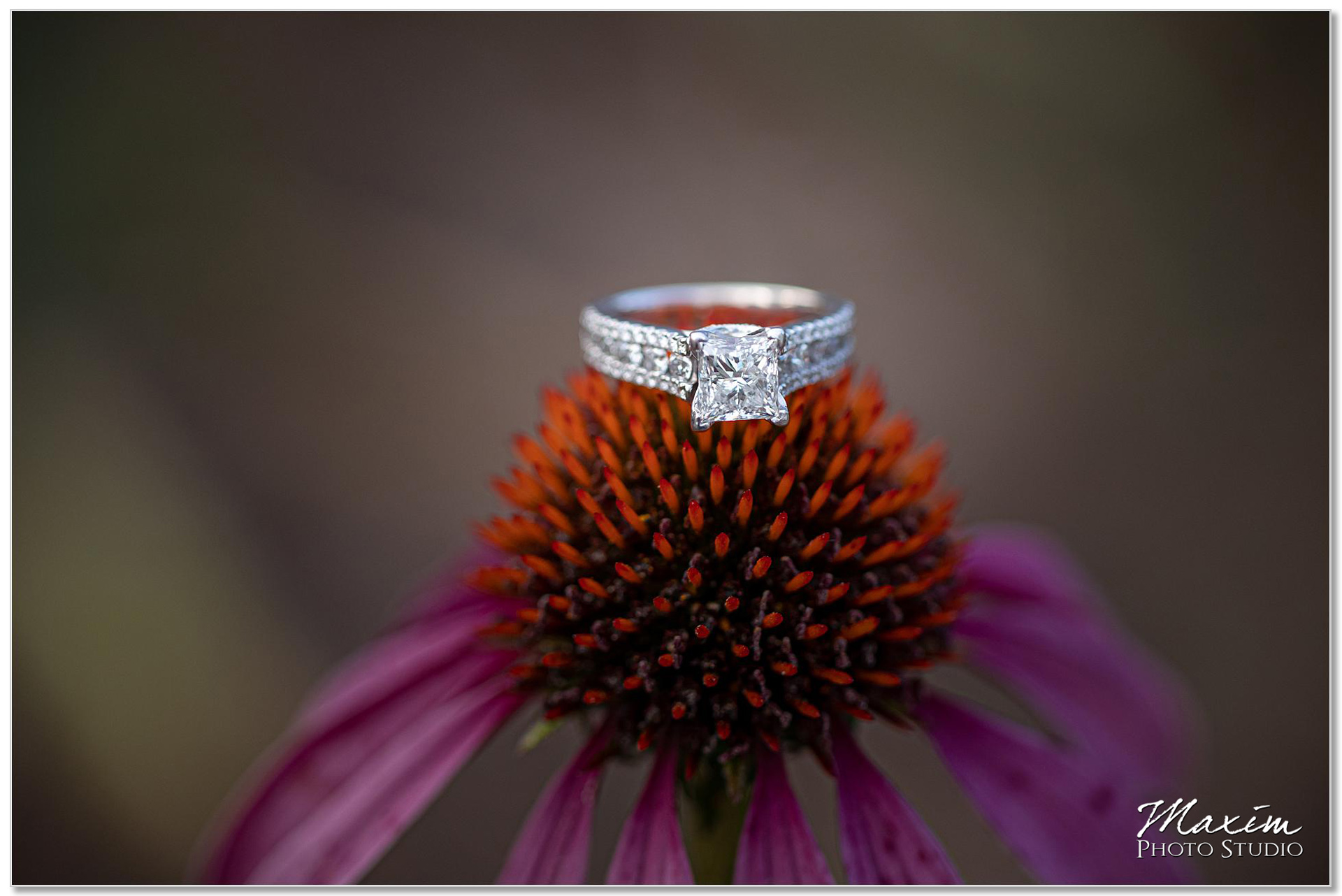 Cox Arboretum wedding ring flower