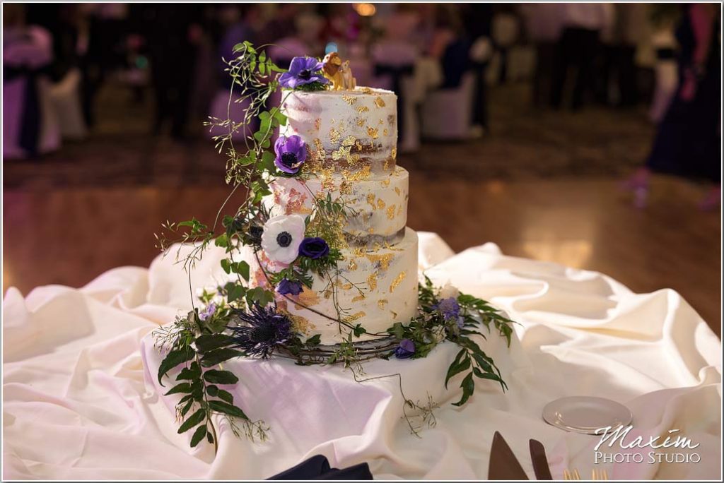 Cincinnati Wedding Photography, Manor House Ohio wedding cake