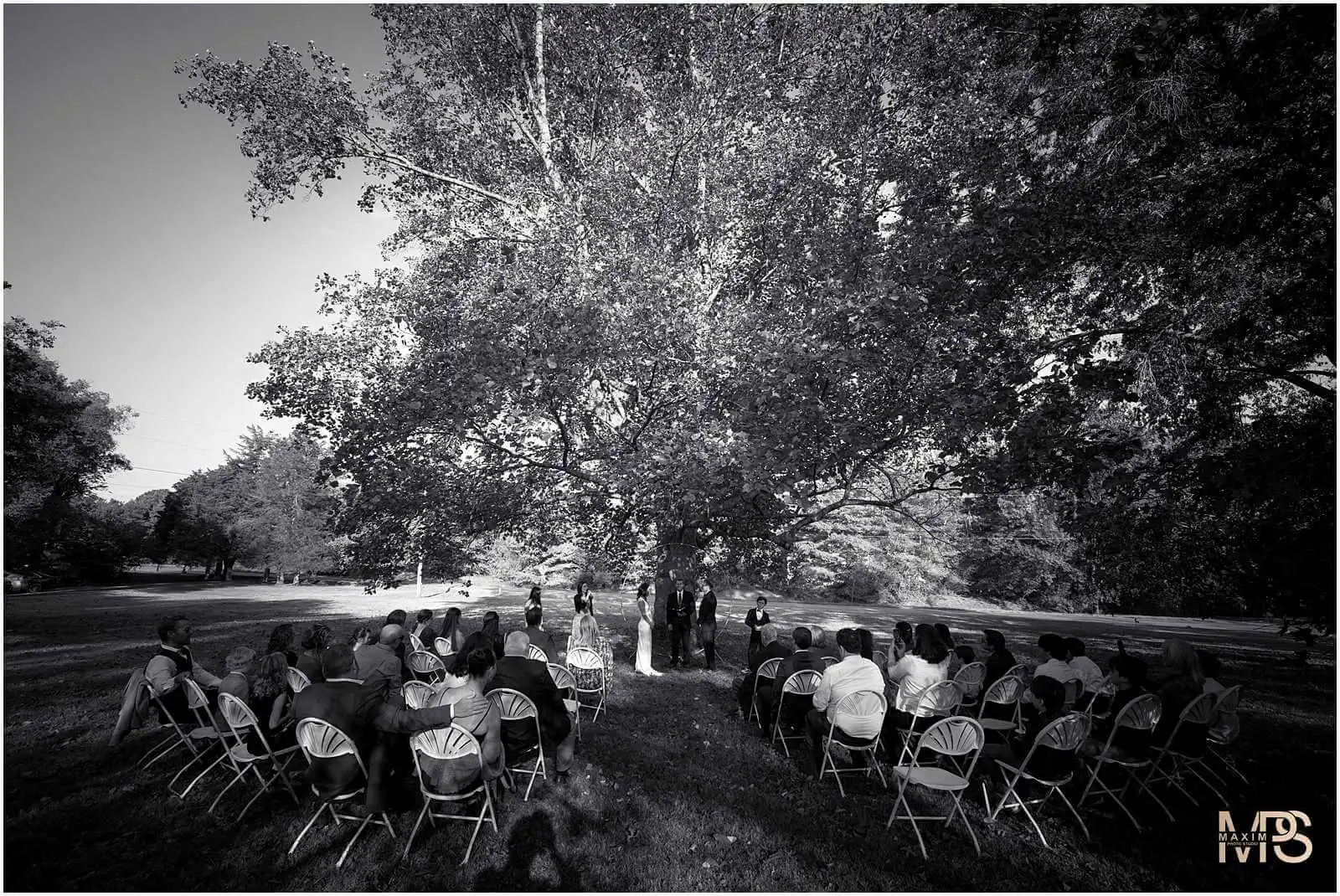 Nasvhille Micro wedding elopement back yard ceremony