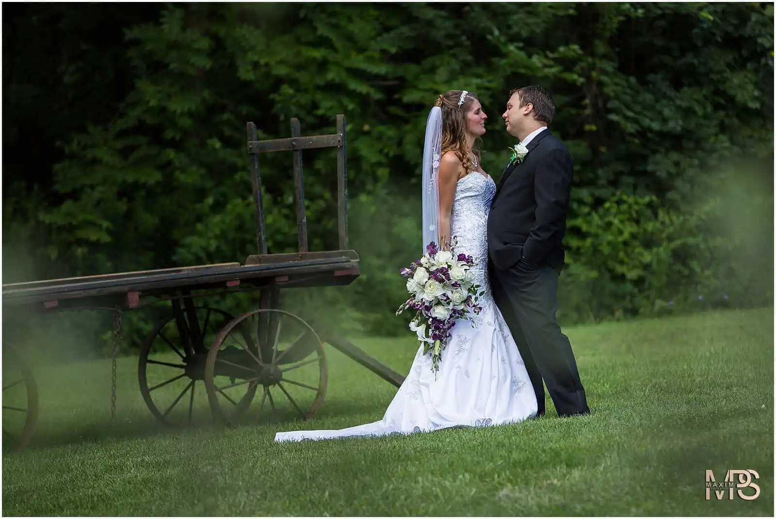 Columbus Wedding Photographers, Wedding aftershoot with horses
