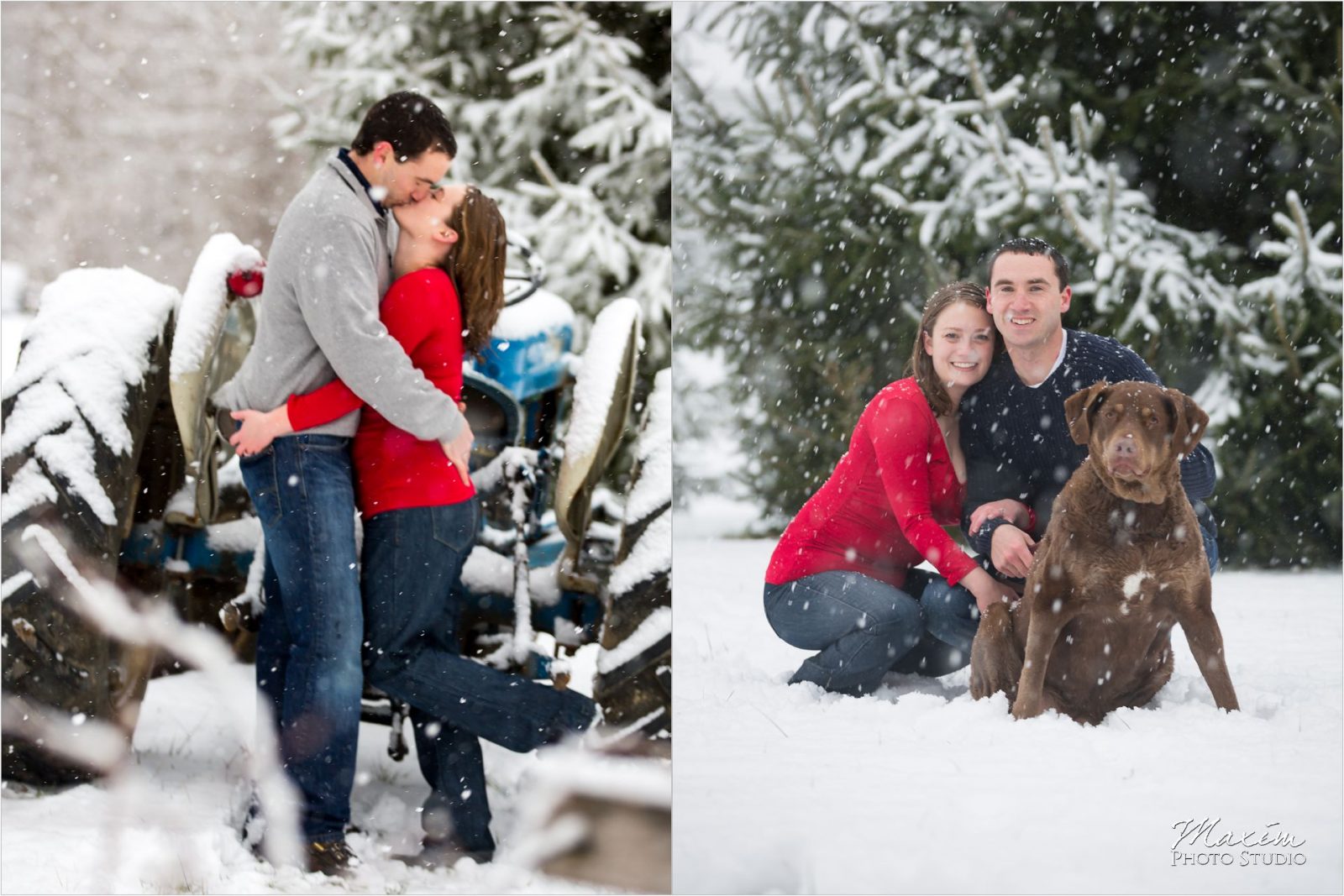 Loveland Cincinnati Ohio Snow engagement dog
