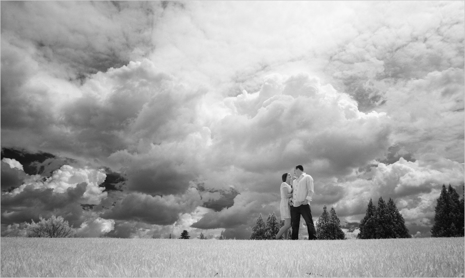 Cox Arboretum Dayton Ohio engagement Infrared