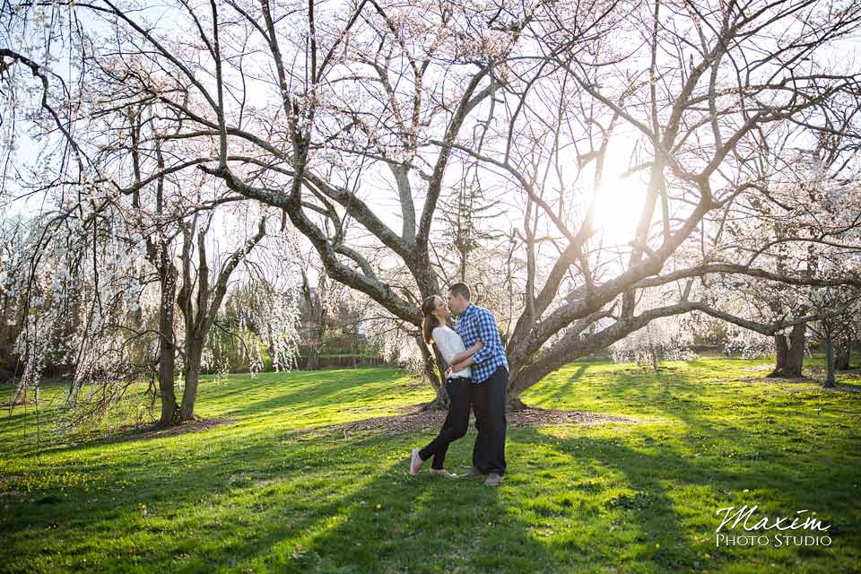 ault park cherry blossoms engagement