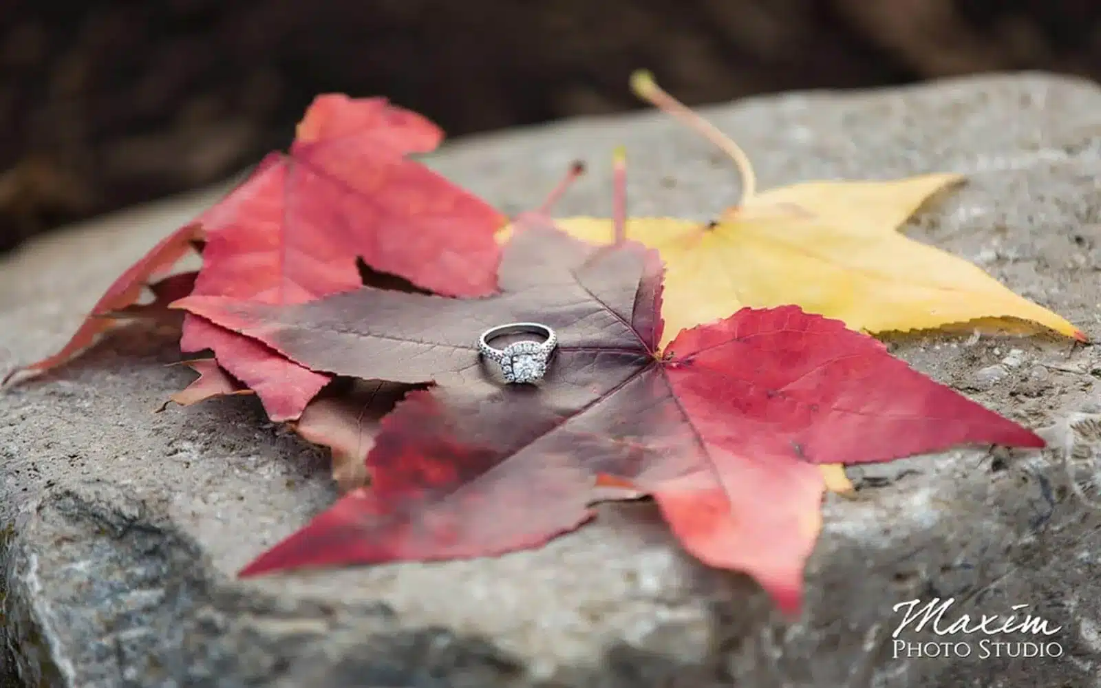 Cox Arboretum Wedding engagement ring