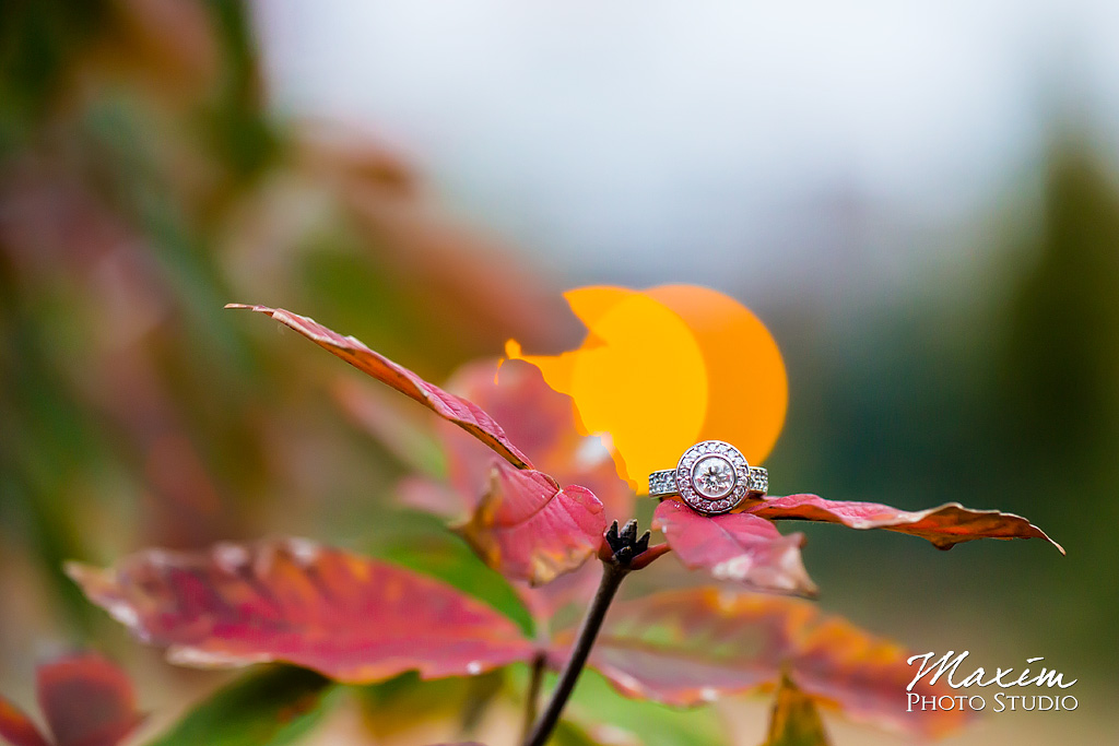 Washington Park Cincinnati Engagement rings