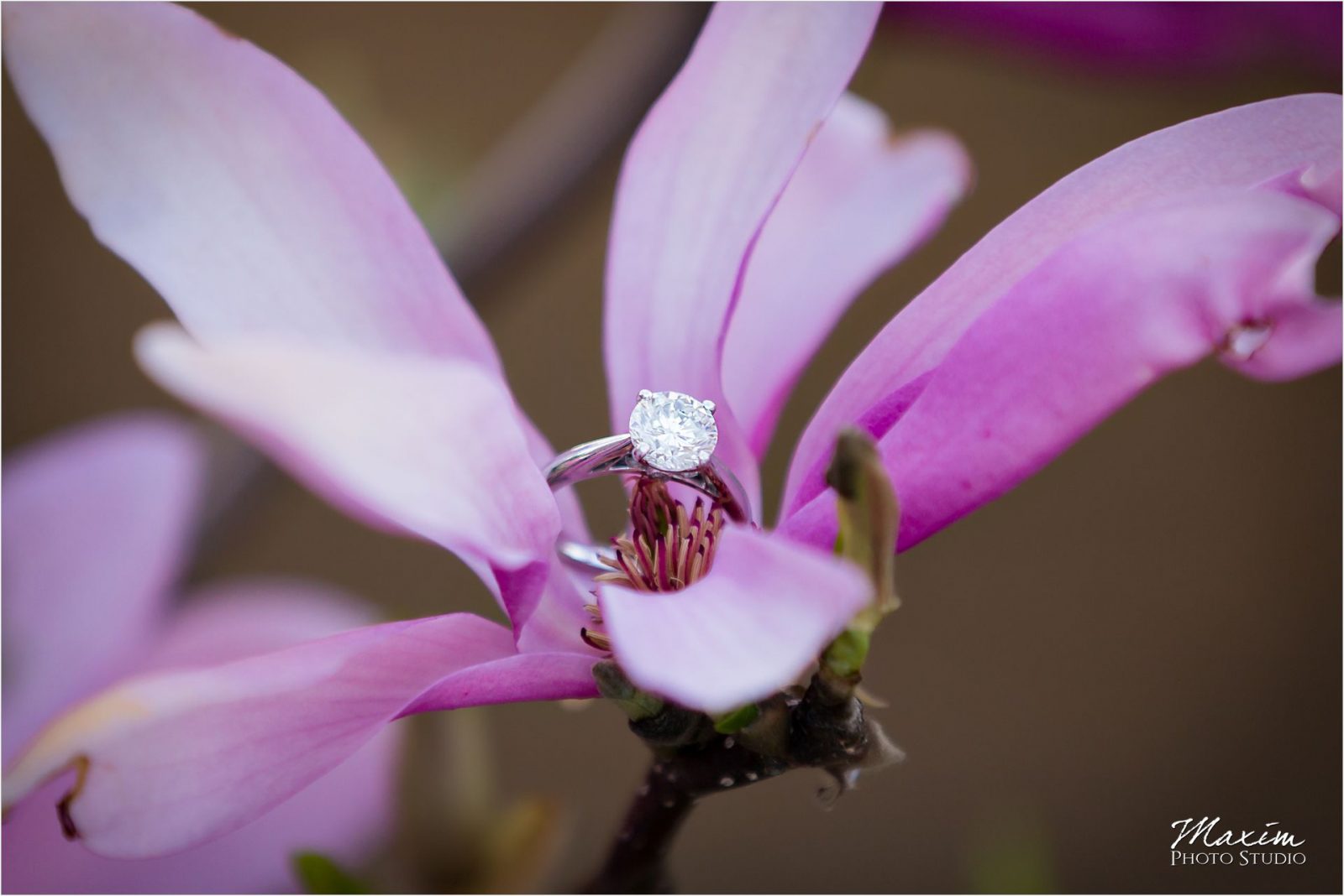 Cincinnati Wedding Photographers Eden Park Spring Engagement Bride Groom ring