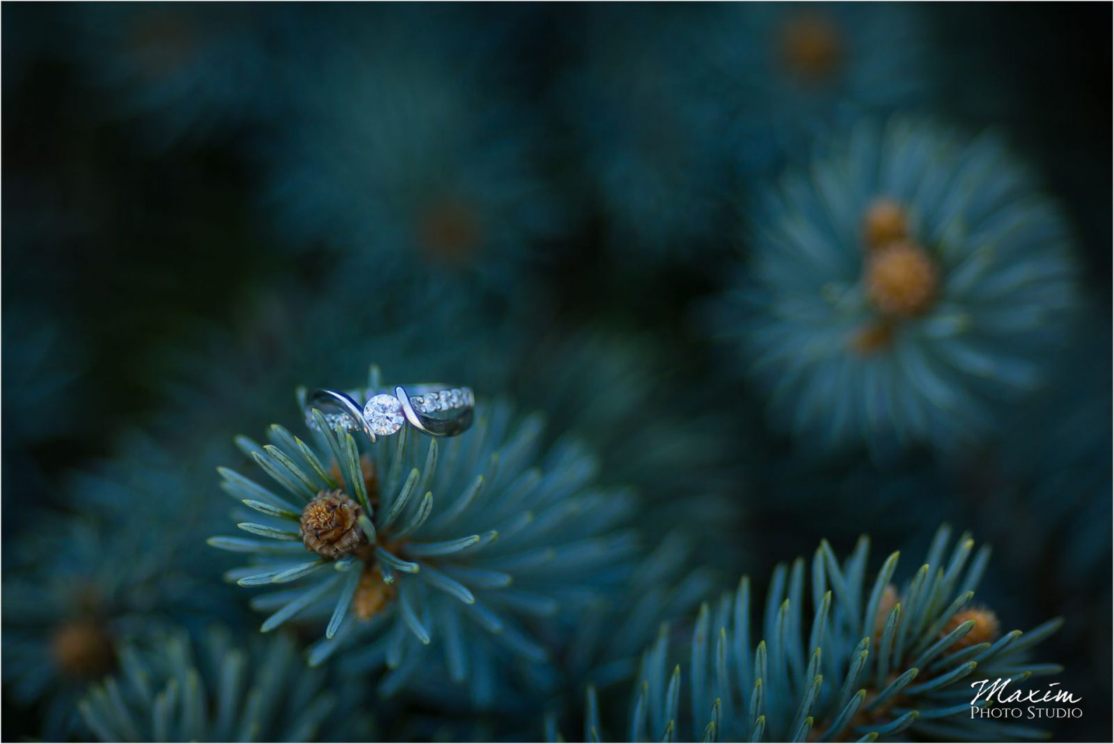 Dayton Wedding Photographers Cox Arboretum Engagement