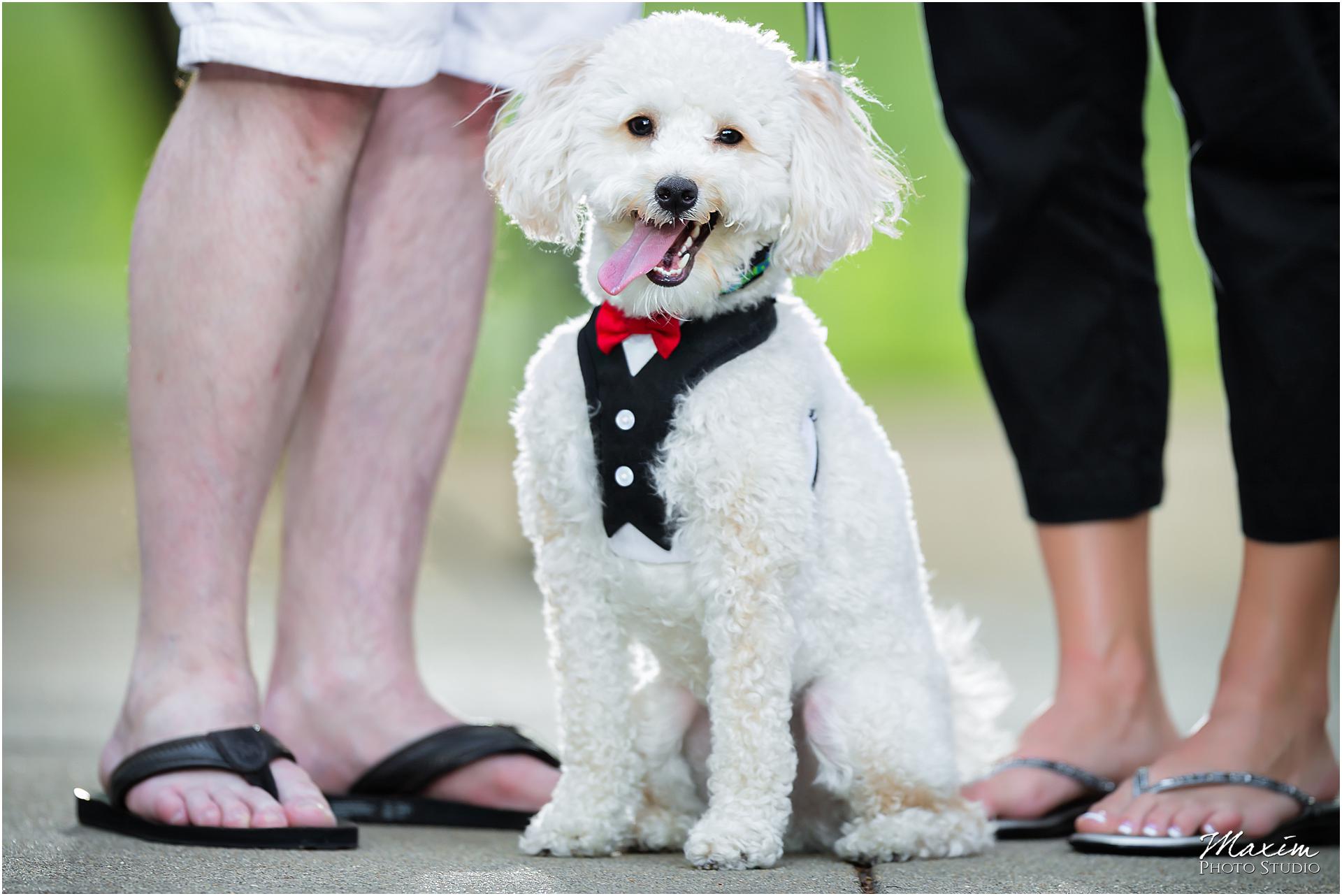 Eden Park Cincinnati engagement Dog laughing