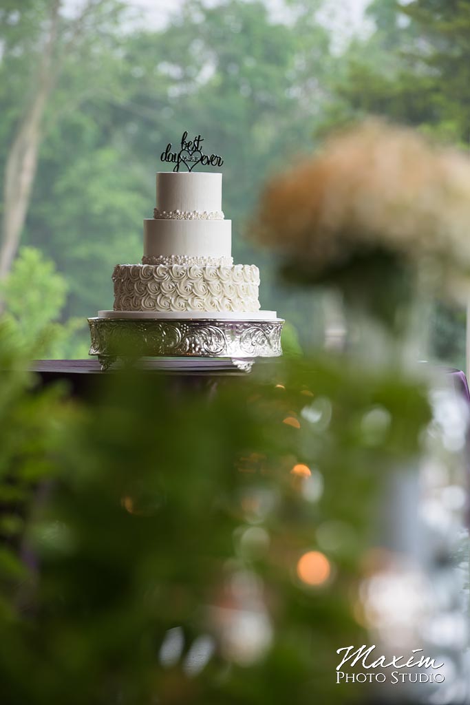 Frosted Wedding Cake Cedar Springs Pavilion