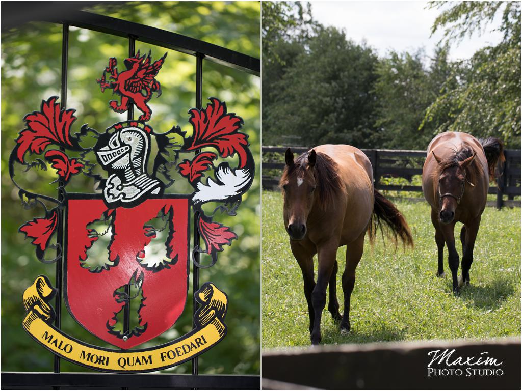 Ohio countryside wedding horse farm