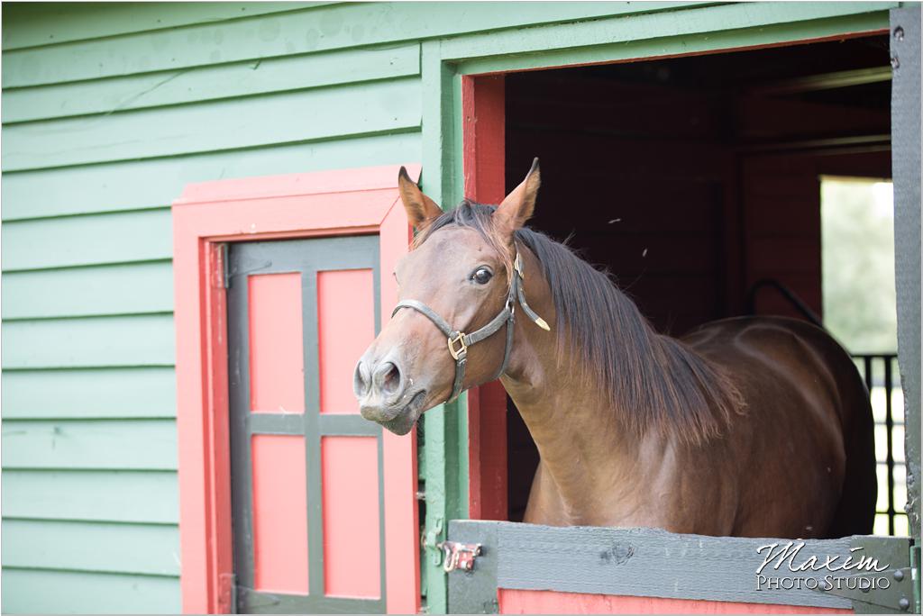 Ohio country horse farm wedding cake