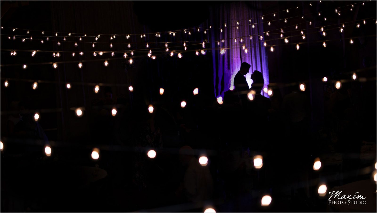 Canopy Creek Dayton Oh wedding Reception bistro lights