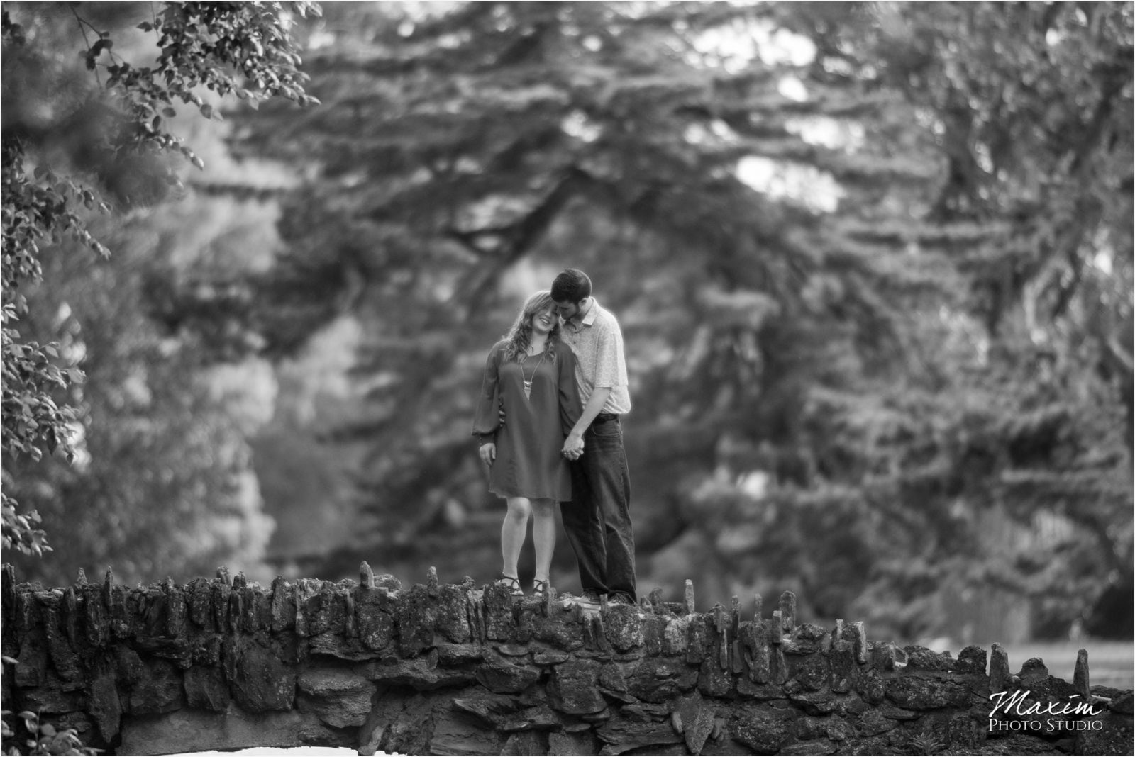 Cincinnati Wedding Photographers Spring Grove Cemetery Engagement
