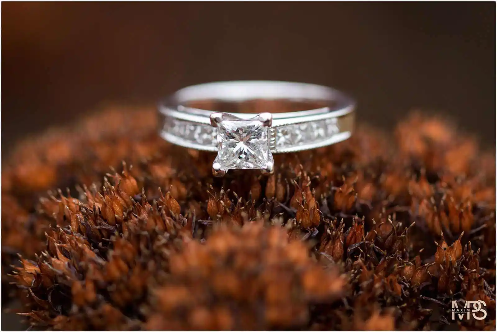 a diamond ring on a brown plant Glenwood Gardens Cincinnati engagement